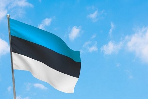Эстония отправила Украине оружие, боеприпасы и гуманитарку
