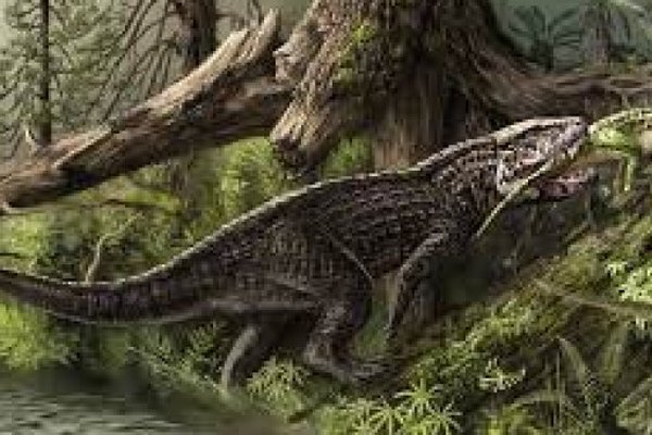 Массовые пожары и эрозия почвы привели к началу царства динозавров, — ученые