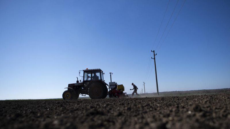 Болгарские фермеры получают государственное финансирование для обеспечения продовольственной безопасности