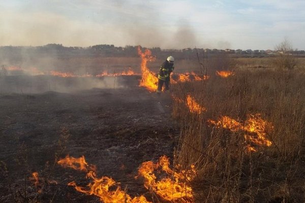 В Киевской области и Чернобыльской зоне пылают лесные пожары