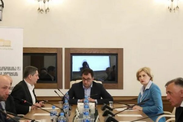 В парламенте Грузии обсудили экономическое сотрудничество с Казахстаном