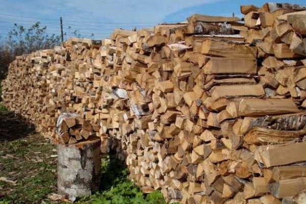 Киевская область готовится к отопительному сезону: есть нужда в дровах