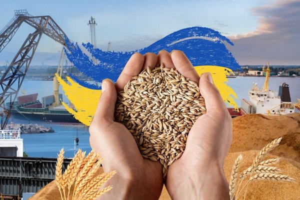 Как будет происходить экспорт зерна с Украины