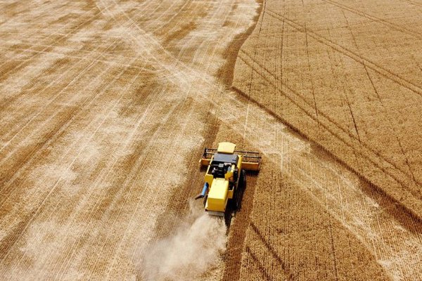 Канада выделит Украине $40 млн на зернохранилища