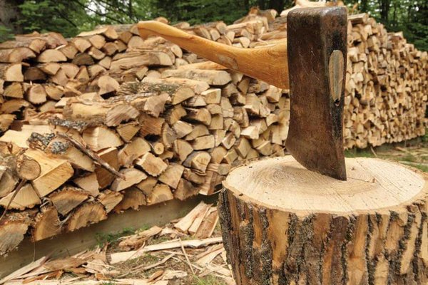 Украинцы готовятся зимовать на дачах: цены на дрова растут, как бамбуковый лес