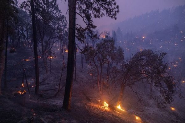 Французским спасателям удалось остановить масштабный пожар в Жиронде