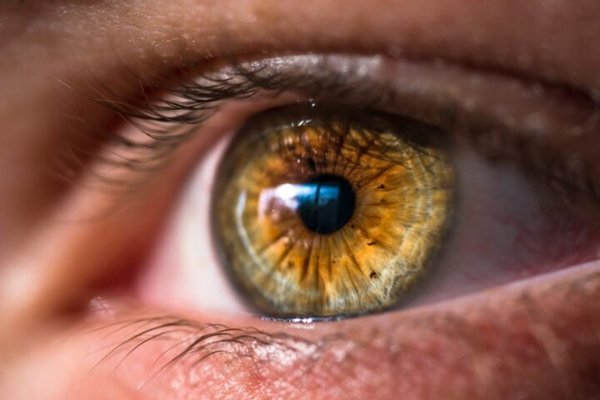 Названы продукты, которые помогут сохранить глаза здоровыми