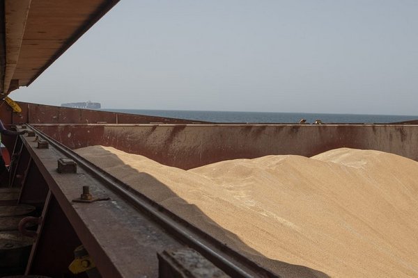 9 судов ожидают очереди загрузки украинским зерном в портах Одесщины
