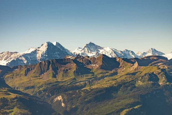 Половина ледников в швейцарских Альпах уже растаяла: исследование