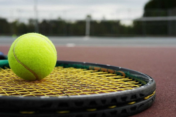 Как делать ставки на теннис онлайн