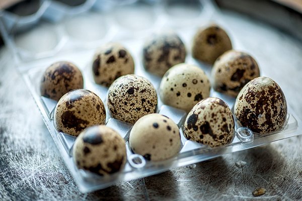 Как употреблять перепелиные яйца, чтобы не навредить организму
