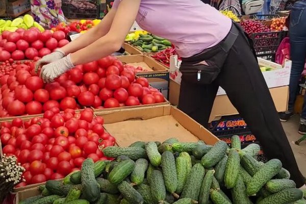 Эксперты прогнозируют дальнейший рост цен на помидоры