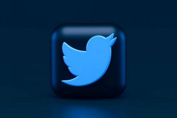Проблема с фейками: Маск отложил запуск Twitter Blue на неопределенный срок
