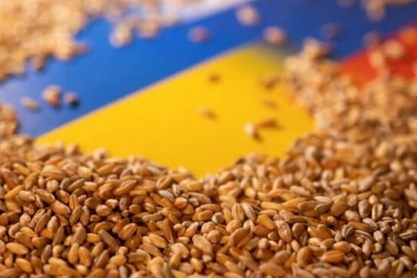 Беларусь хочет разрешить транзит украинского зерна, – ООН