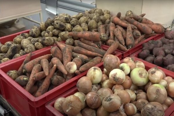 В Украине прогнозируют повышение цен на популярные овощи