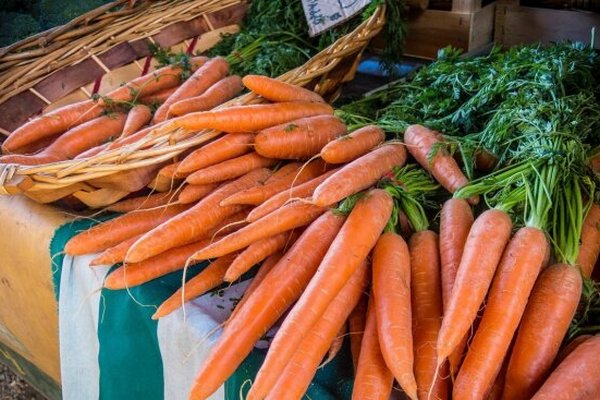 В Украине наблюдается дефицит моркови, а цены не прекращают рост: уже в 3 раза дороже и это еще не предел