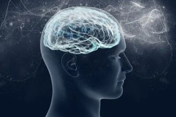Ученые ошибались: сколько процентов мозга на самом деле использует человек