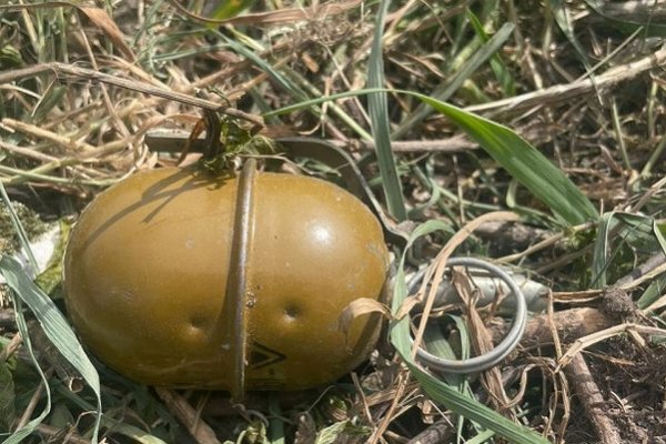 Опасная находка: на Киевщине мужчина косил траву и наткнулся на гранату