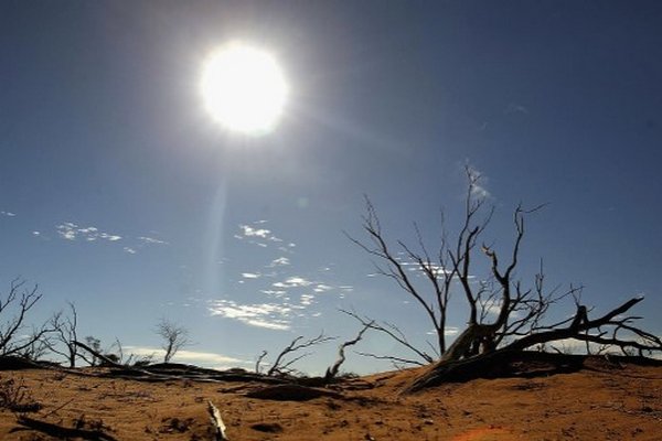 В ООН прогнозируют новый всплеск глобального потепления и побитие температурных рекордов