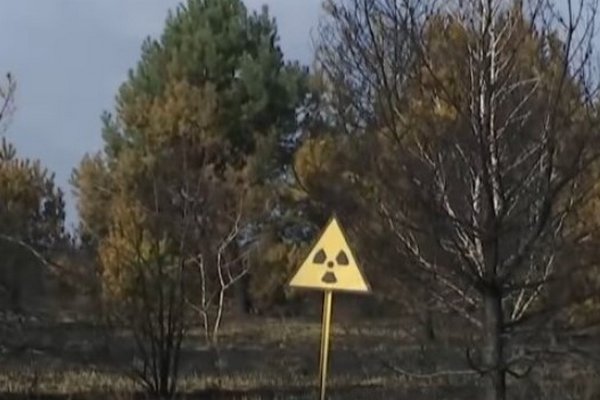 В Чернобыльской зоне заметили 