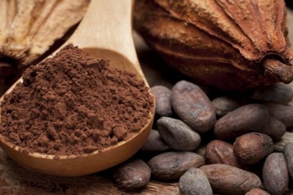 Производители резко подняли цены на какао-бобы: как изменится стоимость шоколада
