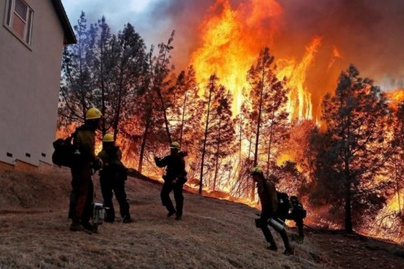Число жертв лесных пожаров в Калифорнии возросло до 58