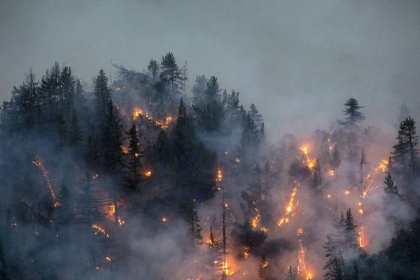 Лесные пожары в Греции: задействованы 18 самолетов, тысячи туристов эвакуированы
