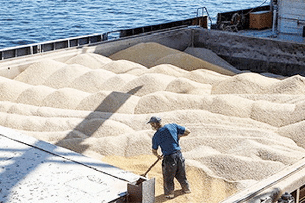 Хорватия поможет экспортировать украинское зерно через свои порты
