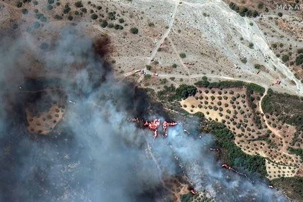 Лесные пожары в Греции: выбросы CO2 стали самыми высокими за два десятилетия