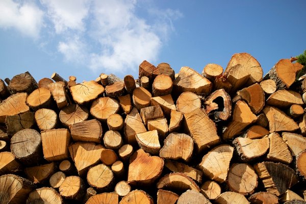 Субсидии на отопительный сезон: как оформить льготы на дрова и уголь