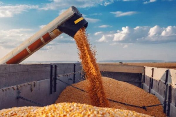 Помощь странам Африки и Азии: правительство приобщило дунайские порты к инициативе Grain from Ukraine