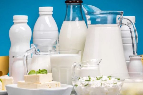 Молочные предприятия настаивают на других правилах экспорта скоропортящихся продуктов