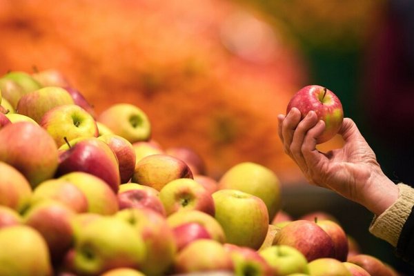 В Украине взлетели цены на яблоки: как изменится стоимость ближайшее время