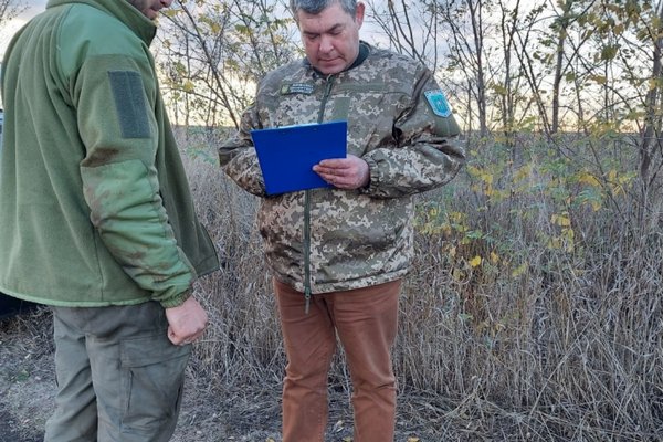 В лесополосе под Николаевом задержаны «черные лесорубы»