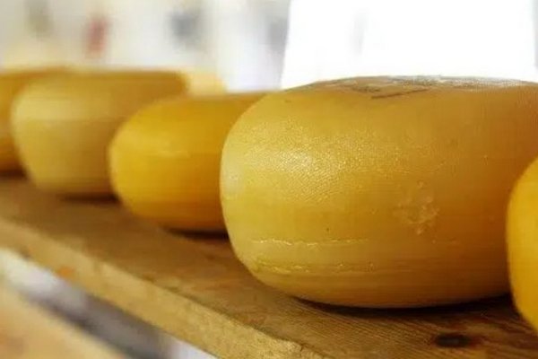 Какой сыр способствует похудению и регулирует кровяное давление