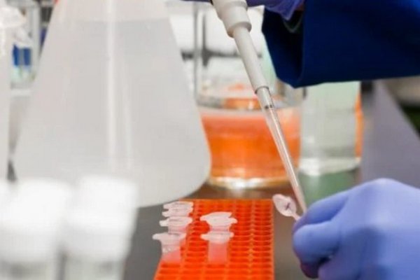 Разорвать 99% раковых клеток: ученые изобрели новый метод лечения онкологии