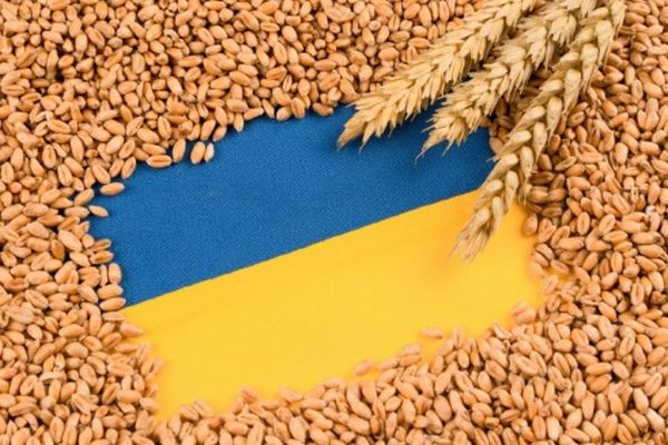 Болгария размышляет о введении тарифов и квот на импорт украинского зерна, — СМИ