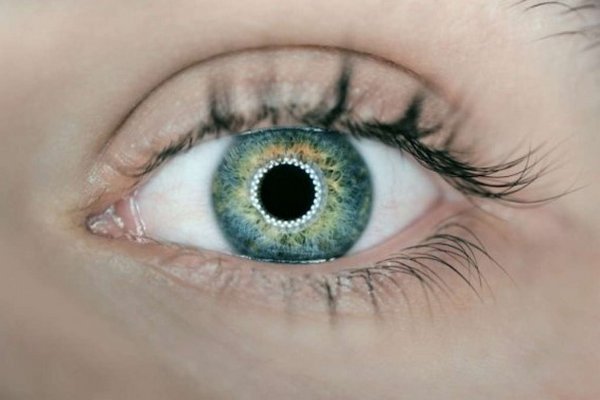 Новое исследование показывает, что цвет глаз может влиять на способность читать