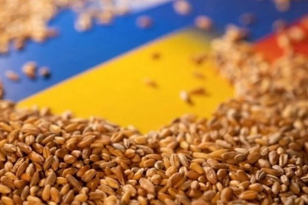 В январе Украина экспортировала морем 12 млн тонн зерна