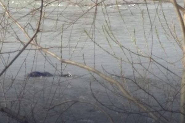 На Закарпатье утонул мужчина, который вплавь пытался попасть в Румынию