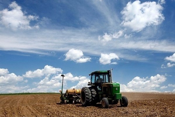Сев яровых зерновых и зернобобовых начали в 20 регионах