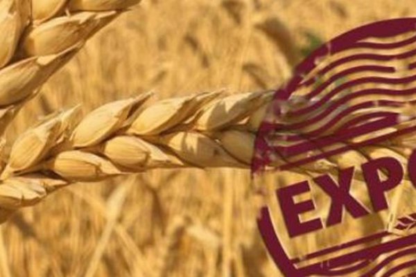 Украина экспортирует 60-70% выращенной агропродукции