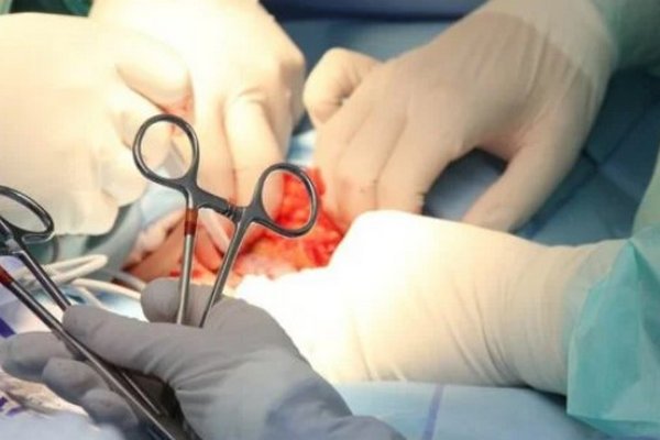 Шанс на жизнь: в 2024 году киевские врачи провели 35 трансплантаций