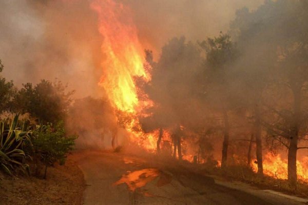 В Греции повысили уровень угрозы из-за первых лесных пожаров