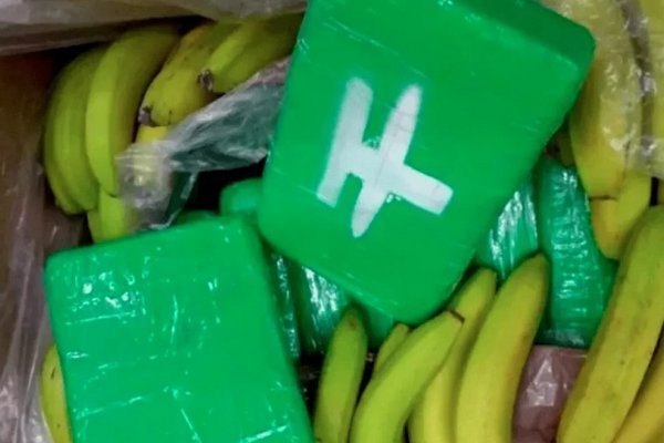 В супермаркетах Германии обнаружили десятки килограммов кокаина в ящиках для бананов