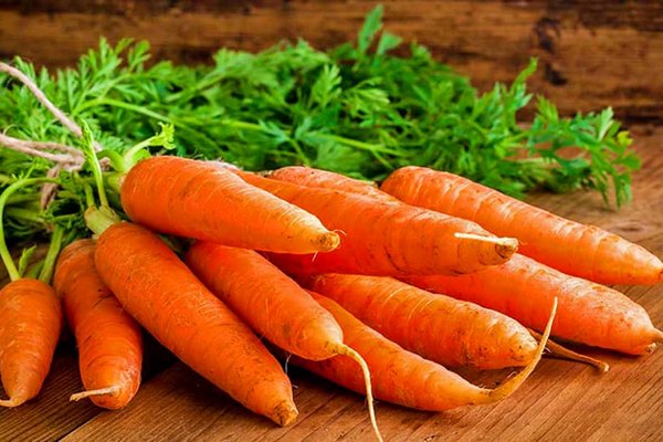 Морковь вырастет большой и вкусной: рецепт натурального удобрения