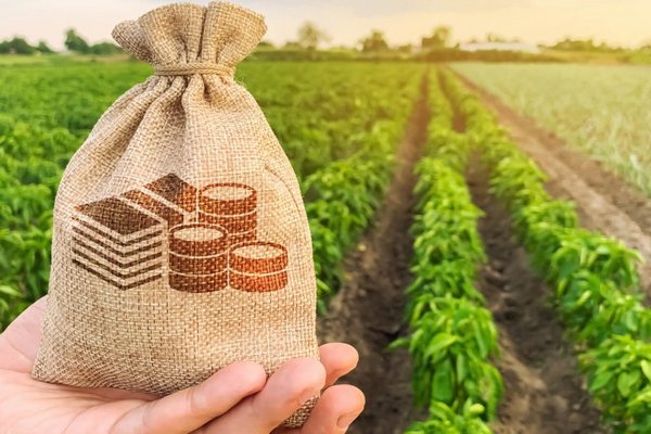 ПриватБанк будет финансировать аграриев по госпрограмме компенсаций