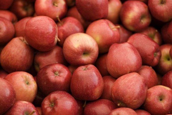 Интересный факт: что будет с организмом, если каждый день есть яблоки