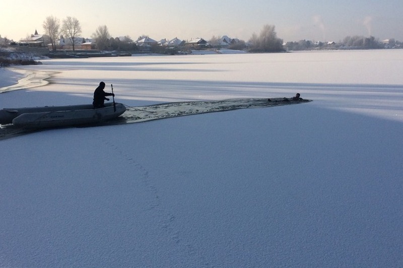 Морозы: под Киевом лебеди примерзли ко льду на озере