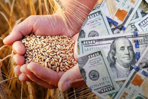 Мировой рынок пшеницы: ключевые факторы, влияющие на ценовую динамику